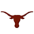 texas1.gif